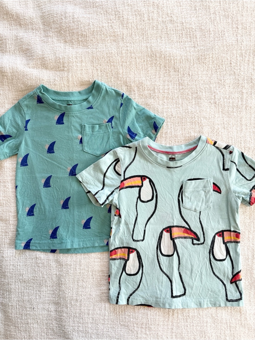 Tea Collection 3T Tee Bundle